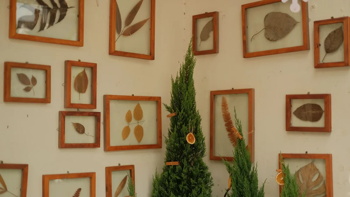 décoration avec feuille d'arbre